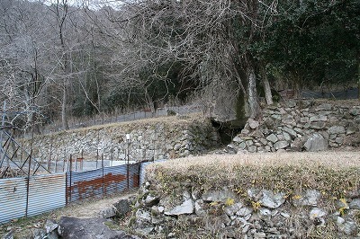 IMG_9650.jpg